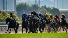 Racing at Sha Tin